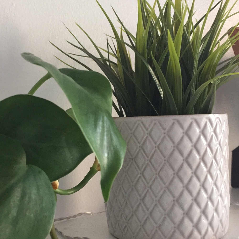 Meet your Posher, Drée